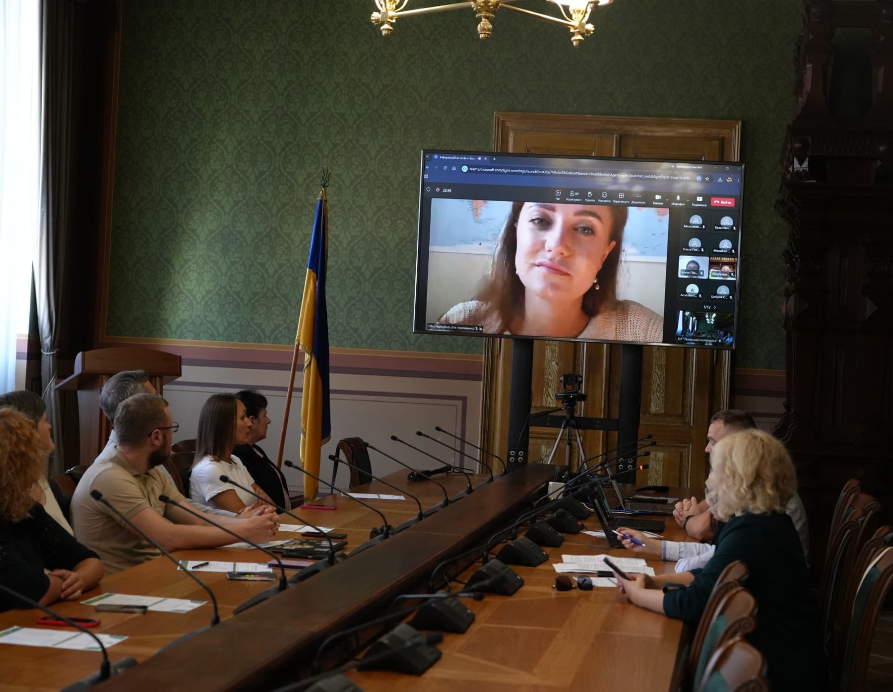 Online speaker on screen during the info session